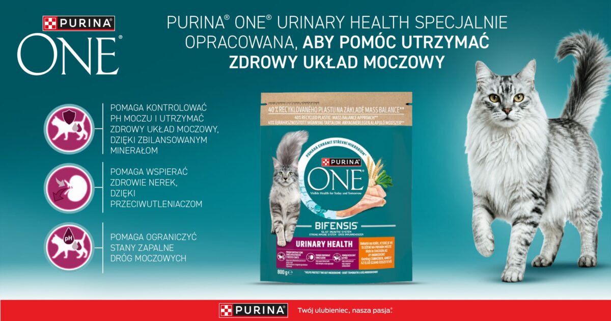 Purina One Cat