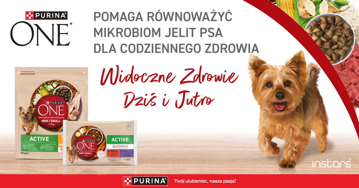 Purina One mini Dog